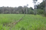 500 hectares de terrain agricole à louer à Mengang / Camerou