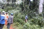500 hectares de Terrain agricole à louer à Mengang /Cameroun