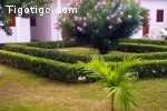 A louer belle villa meublée  5 pièces avec jardin à Totsi